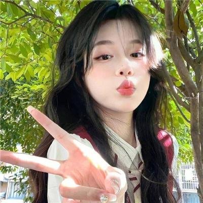 壳中少女 排气